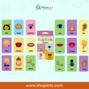 Colourful body parts learning cards arranged around the retail box